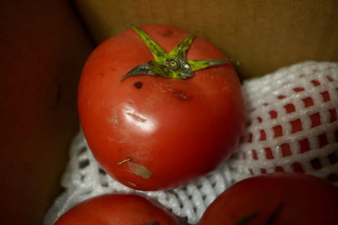 这世界上真有在拼夕夕购物而不翻车的人吗？