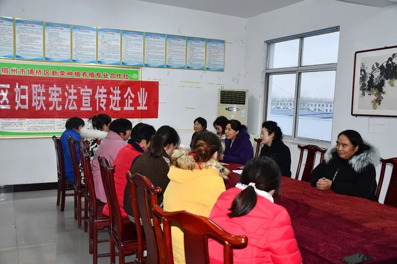 “宪法宣传周”，宿州人一起弘扬宪法精神