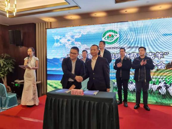 新疆玛纳斯萨福克羊,玛纳斯萨福克羊基地