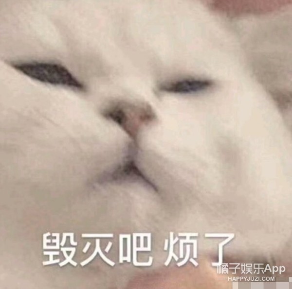 焉栩嘉粉丝和解事情澄清,焉栩嘉回应劈腿多名女生传闻