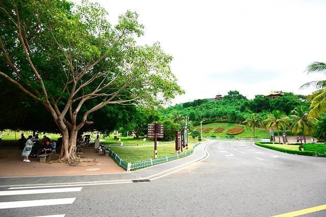 去三亚拍亲子写真照选什么地方,三亚旅拍亲子照爷爷奶奶可以去吗