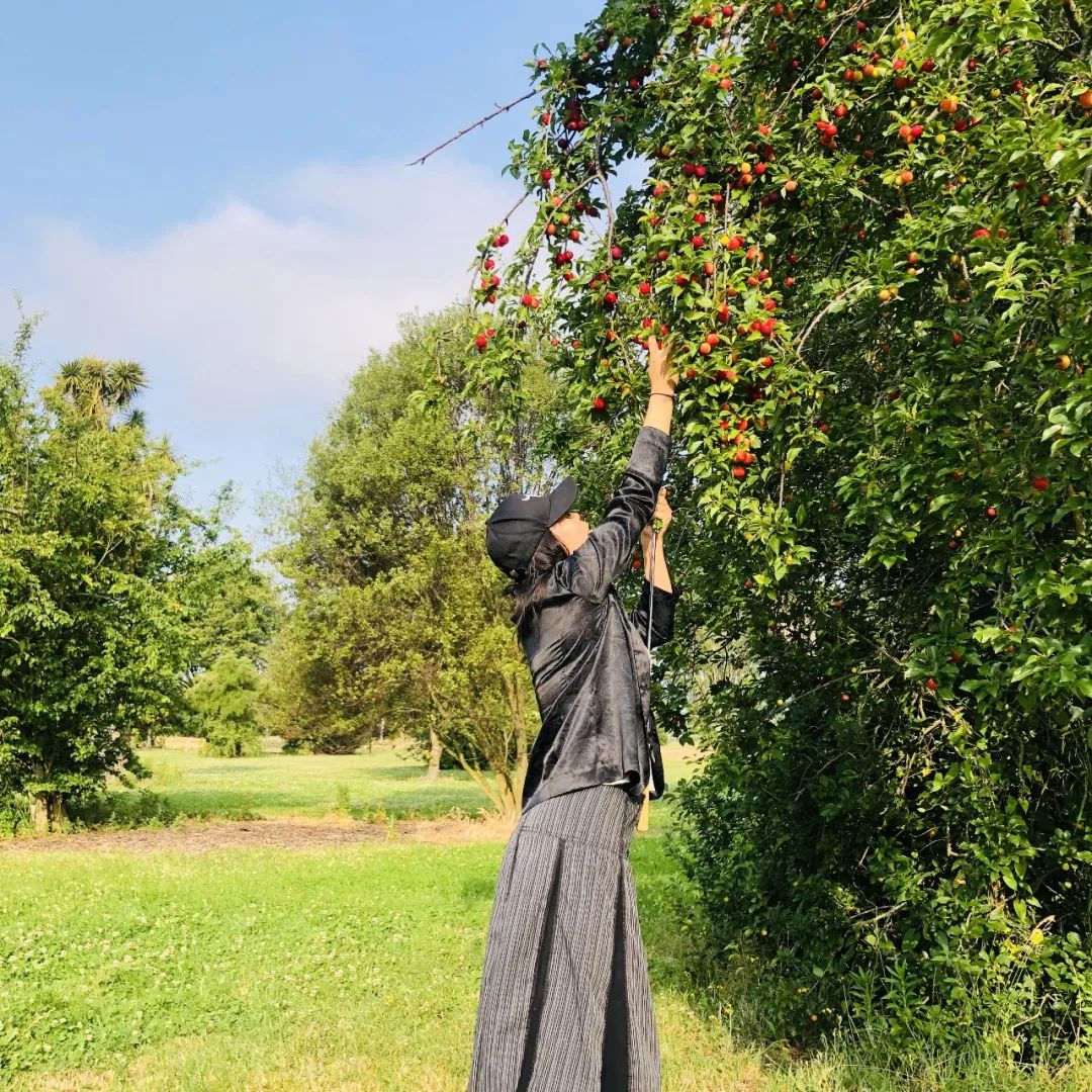 6年睡在公司里，35岁留学，36岁获得新西兰顶级动画新人奖——超酷红姐的硬核人生