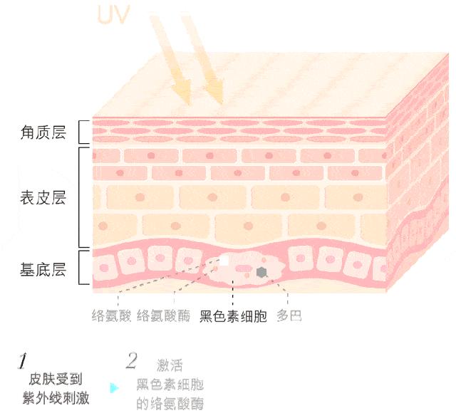 推荐一下你们用过的最好的祛斑霜,公认十大最好的祛斑霜
