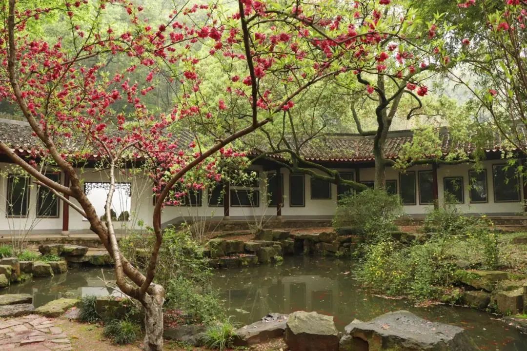 今天cctv1在线直播节目表,cctv1开讲啦今天的直播回放