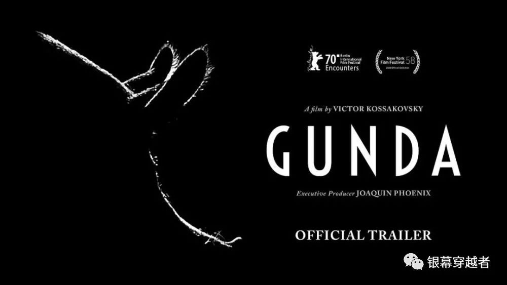 《纽约时报》年度最佳电影和剧集名单