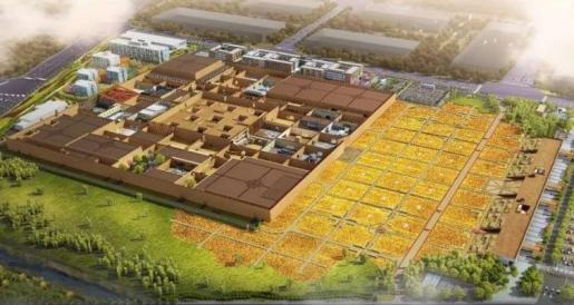 建业集团胡葆森身价,建业总裁胡葆森