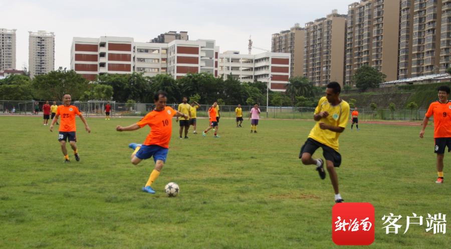 躬身向小草中国热带农业科学院副院长、研究员刘国道35载致敬海南