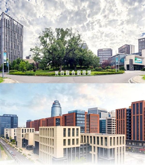 坚守与创变——丽岛二十年创业路