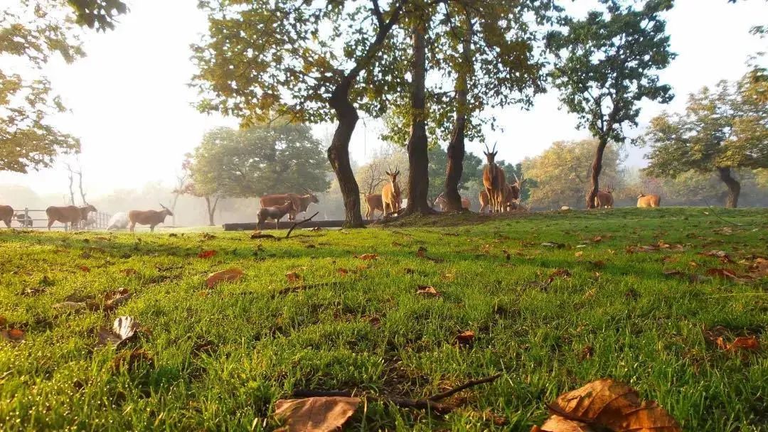 曲江也有星座？没错，是你2G了！