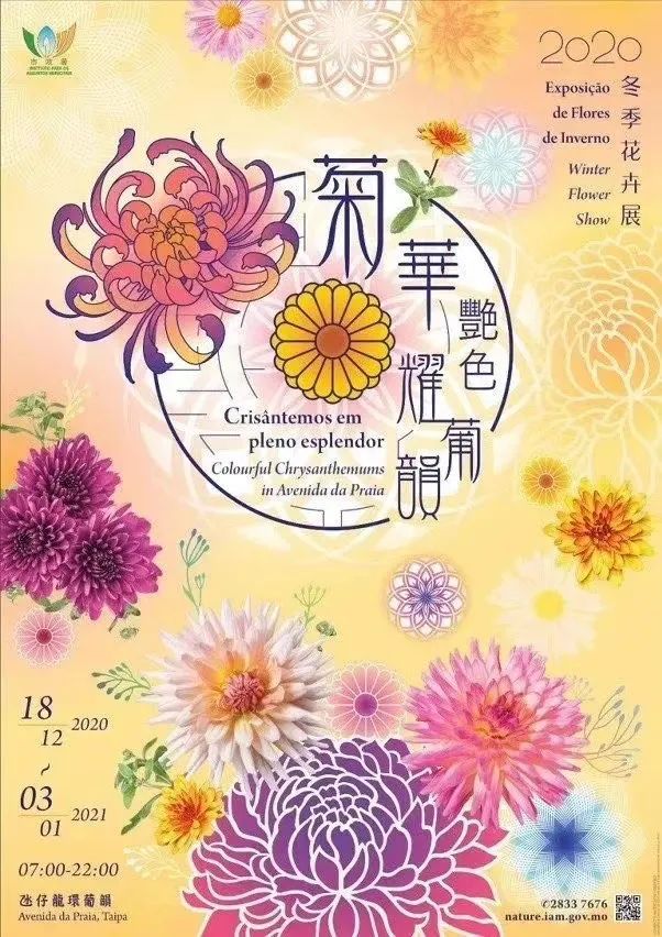 广西飞澳门机票,南宁至澳门机票套票