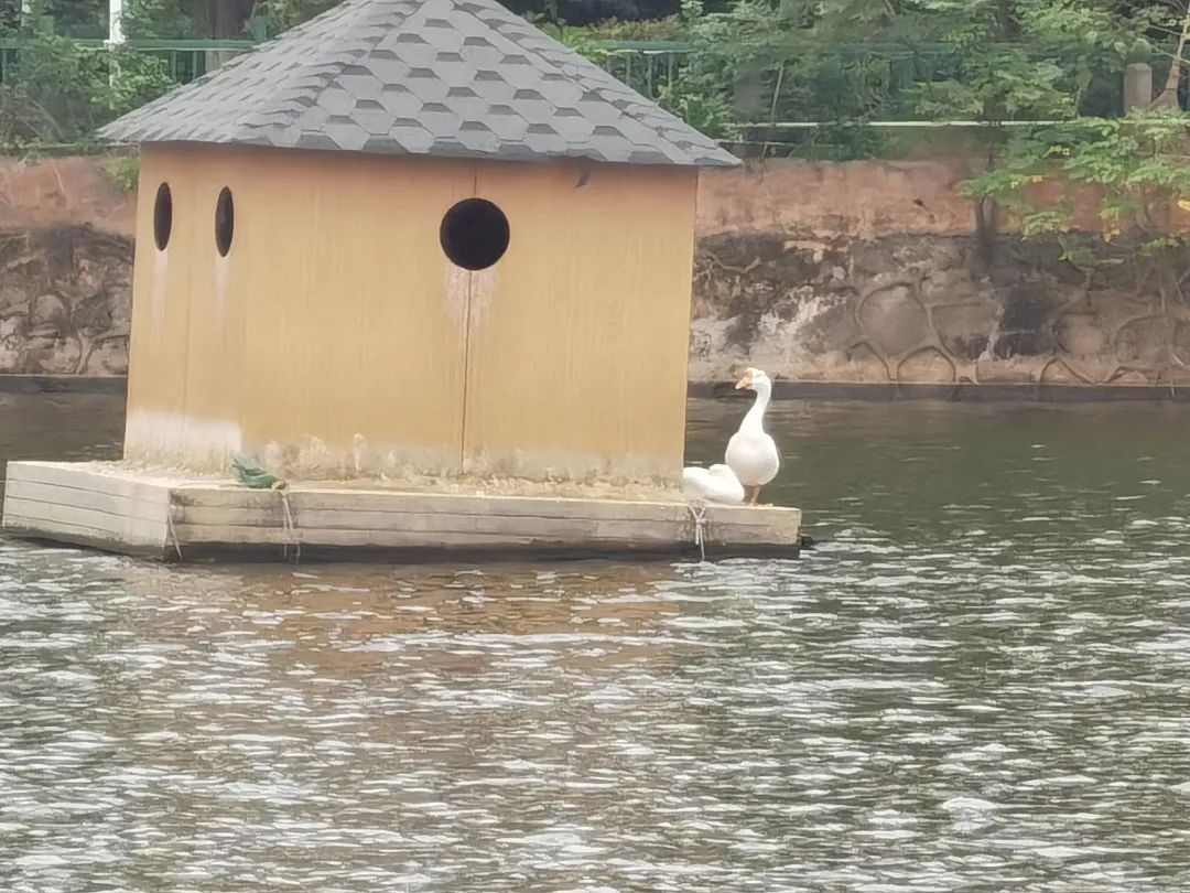 江西科技师范大学理工学院怎样,江西科技师范大学理工学院