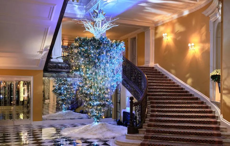 设计师的圣诞树是长什么样？