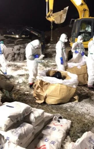 日本“封国”【看世界·新闻早知道】