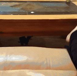 日本“性感小屁屁大赛”，300万网友围观点赞：屁屁虽好，不要贪摸哦