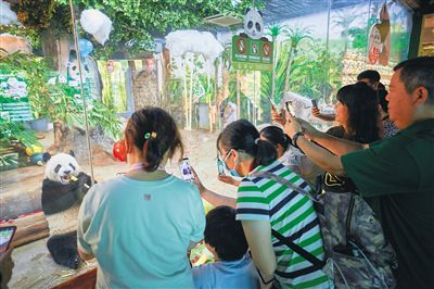 海南海口旅游自助游,海口旅游推荐2-3天游