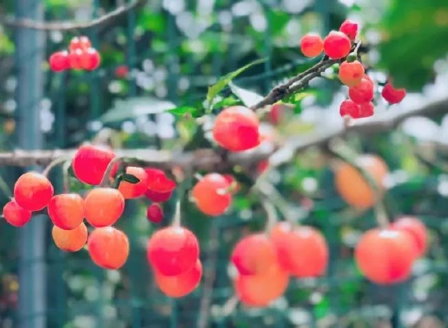 2020再见2021你好元旦快乐,2021再见2022你好元旦快乐