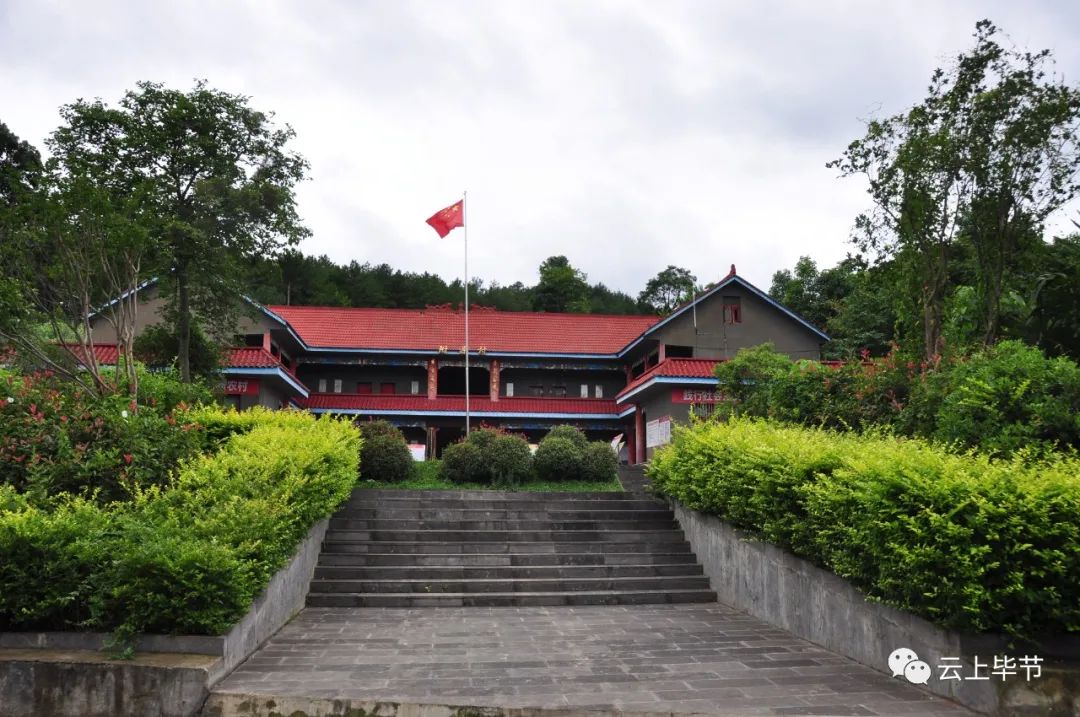 黔西北回忆,黔西北百里杜鹃第一村