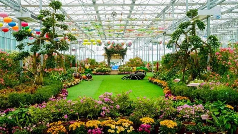 2021元旦假期收官，湖北各市州文旅市场情况综述