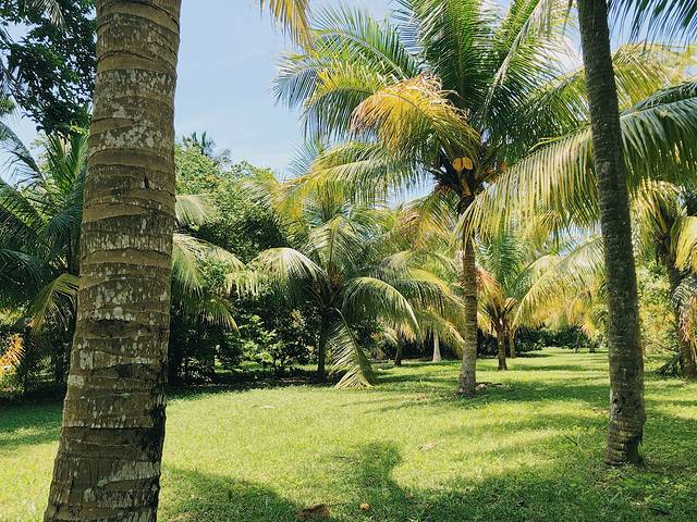 海南海口出发自由行攻略5天,四天三晚海口三亚环岛自驾游攻略