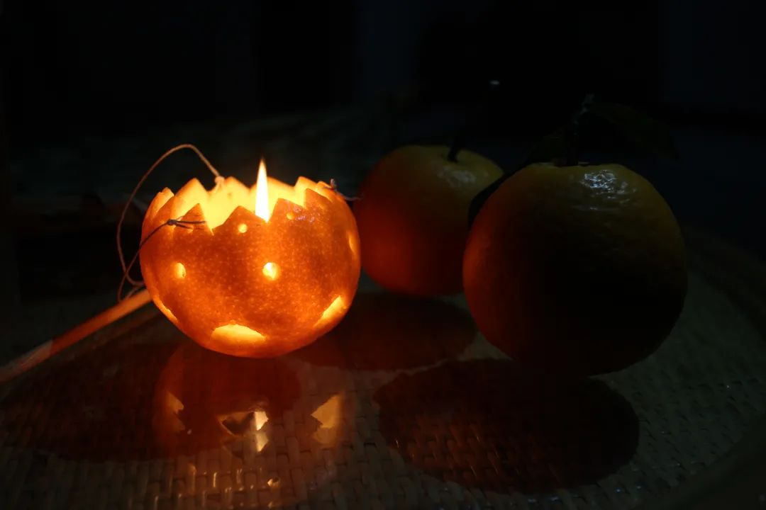 科普植物的用处,科普植物活动