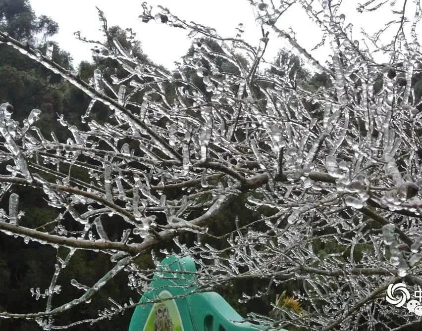 北海市11月8日气温,北海12月每日天气预报