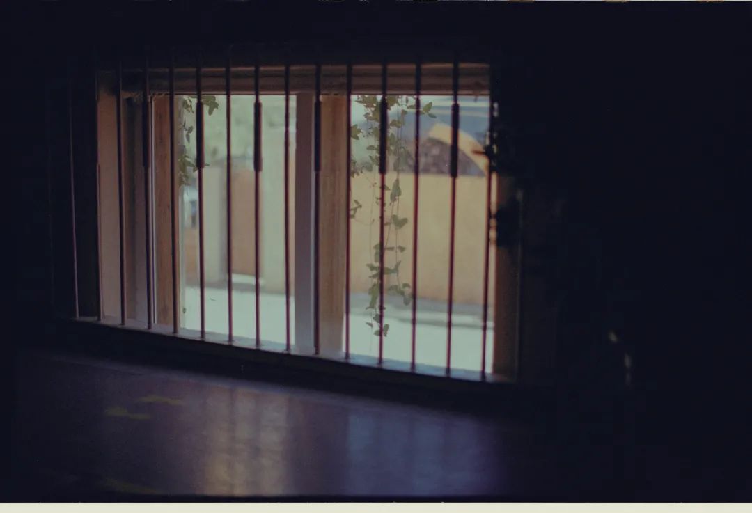 小倩摄影师,摄影师小倩