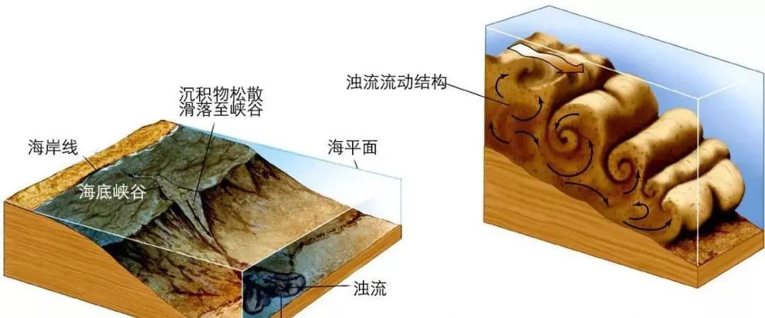 测一测你成为学霸的几率是多少,测一下你是学霸还是学渣的题