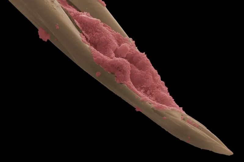 科技爱好者周刊第102期,科技爱好者周刊第67期