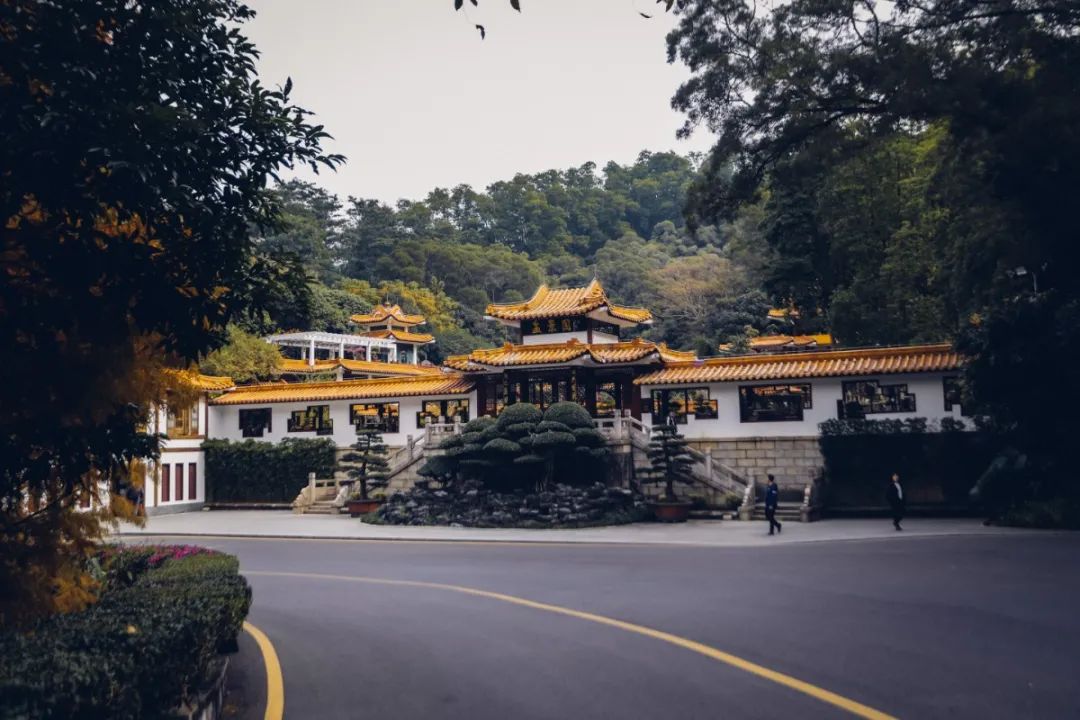 深圳值得打卡拍照的地方10月份,深圳绝美打卡地三月份