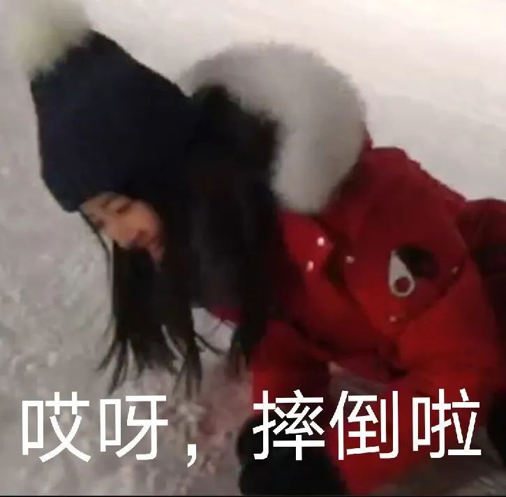 冰冰文章,今天的文章