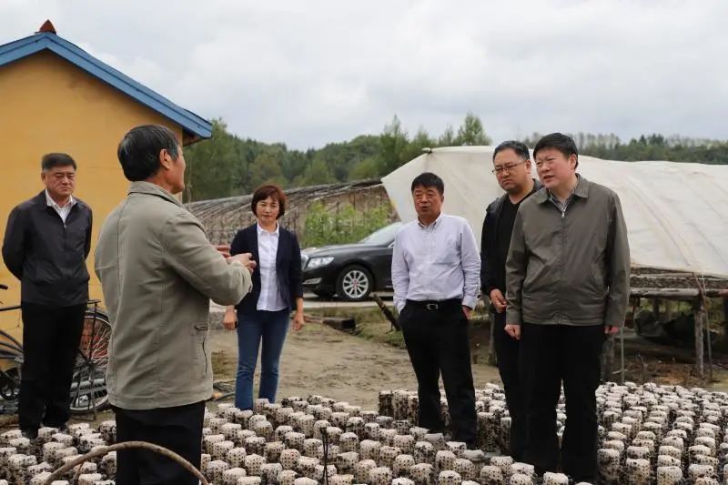 乡村振兴美丽画卷绘上墙,乡村振兴图彩绘