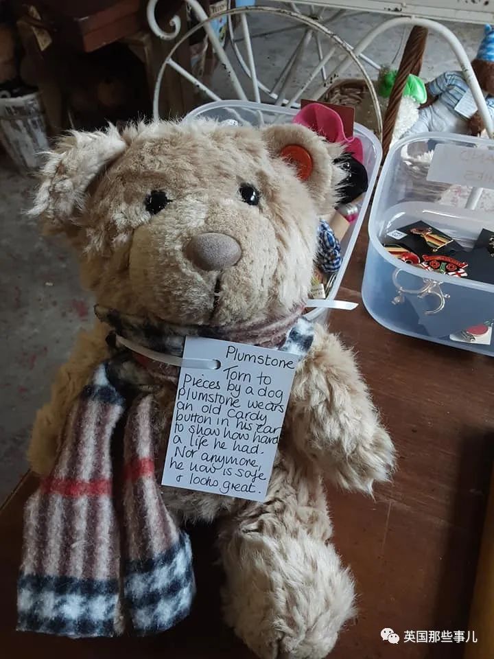 她治好12500只泰迪熊，用毛绒绒治愈自己和无数人…