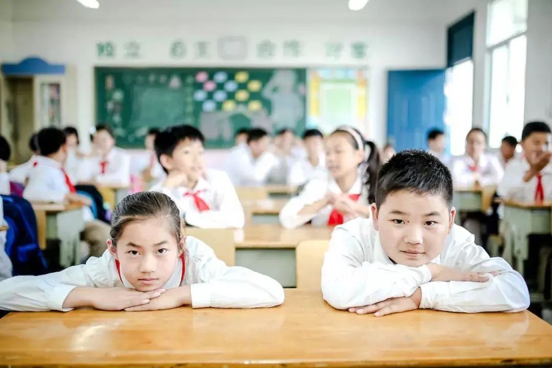 问政回音|我家娃到底该上哪个学校？赣州这些学区划分，复习一下