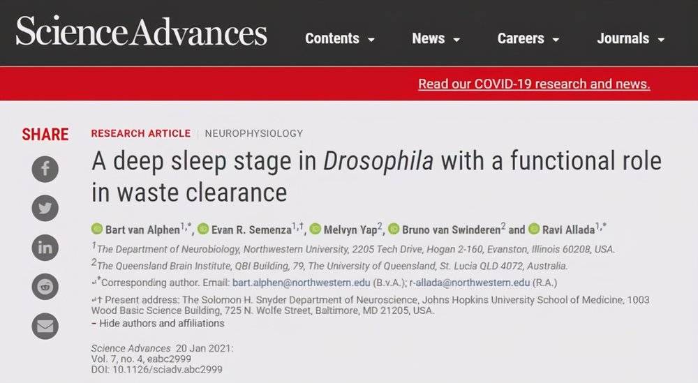 深度睡眠能改善身体什么问题,深度睡眠解决大脑疲劳