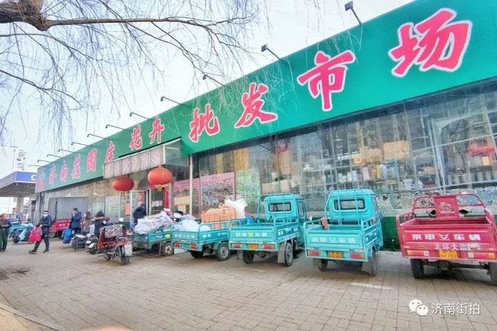 济南花卉市场哪个最大最出名,开放的济南花卉市场有哪些