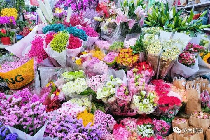 济南花卉市场哪个最大最出名,开放的济南花卉市场有哪些