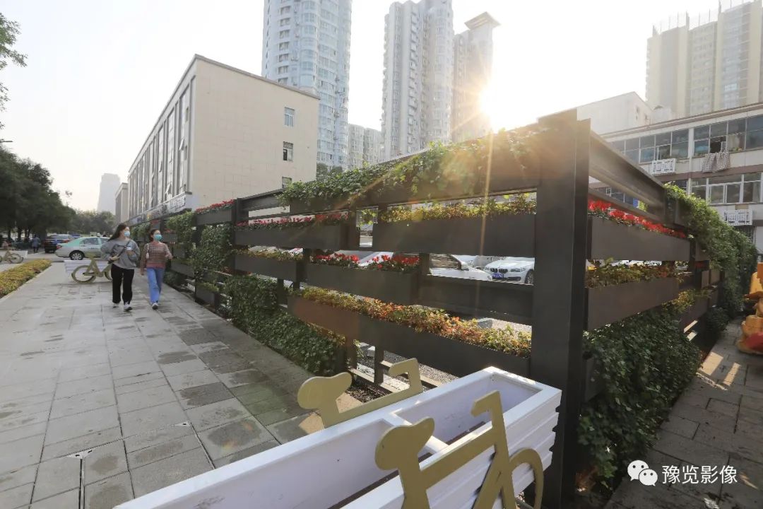 在郑州，遇见美好——刘絮|影像纪年2020（38）