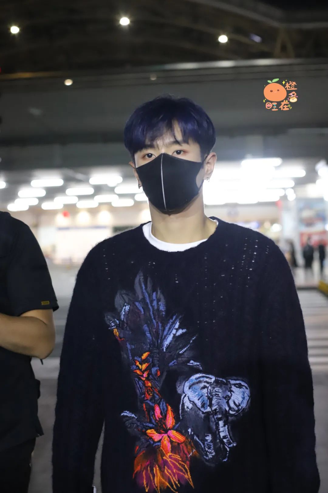 一小撮儿还是一整头？这些颜色你不能错过