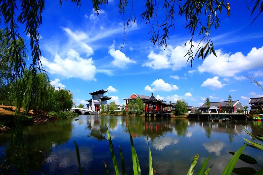 带你看盐城风景,牛年看牛展2021新春展等你来打卡