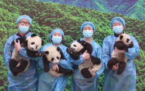 早安山东丨新的一年,与春同行奋力“犇跑”;“我和我的家乡·一把手话发展”今日关注潍坊寿光;假期每日好片为您推荐《你好,李焕英》