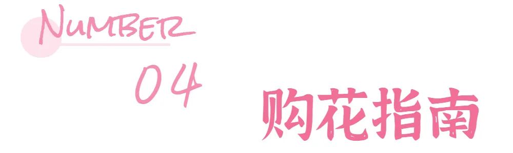 南宁赏花2022,赏花攻略南宁