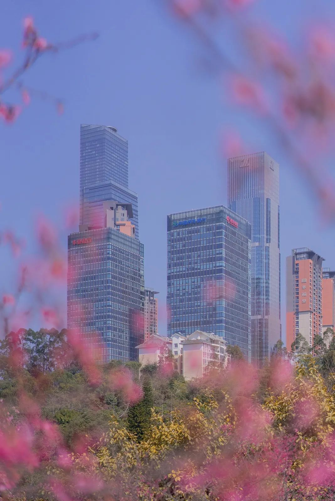 南宁赏花2022,赏花攻略南宁