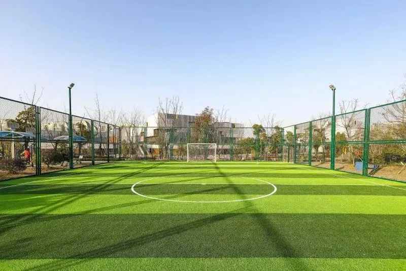 体育公园真人秀,网红体育公园