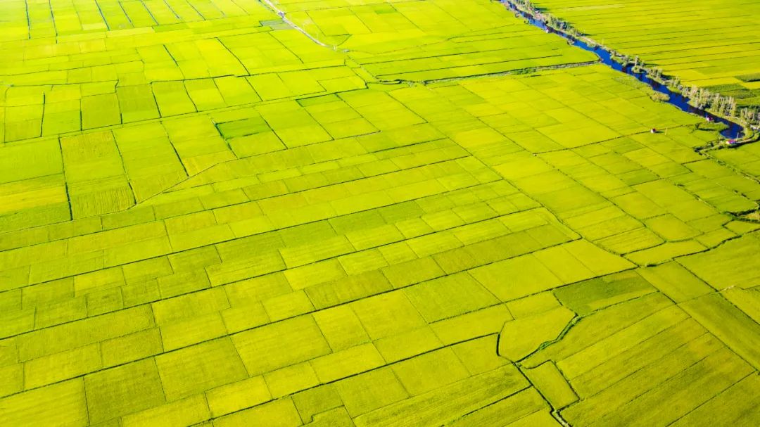 鍙や粖杈夋槧瀹屾暣瑙嗛,鍙や粖浜ょ浉杈夋槧