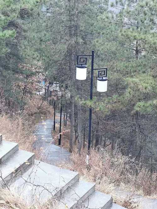 里友来稿｜赵建超——雨中登龟山