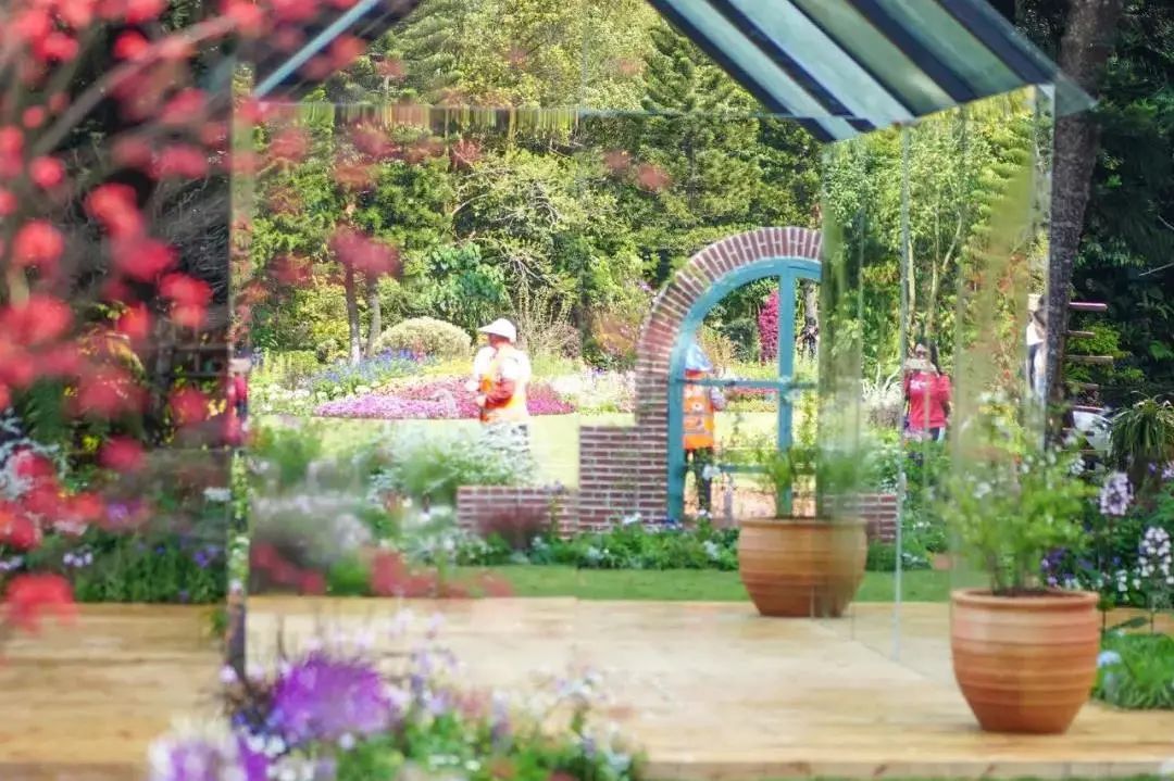 你好，我叫深圳，这是我的简历