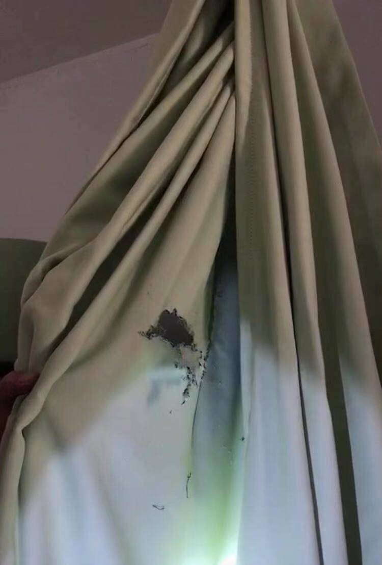 老鼠频现！浔阳区丁家场一支巷居民心慌慌