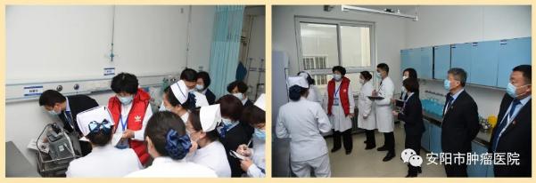 砥砺奋进结硕果凝心聚力谱新篇,砥砺奋进结硕果凝心聚力献华章