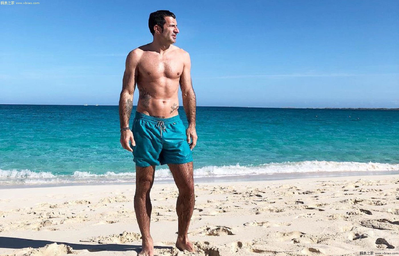 看葡萄牙,路易斯菲戈经典