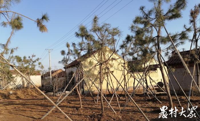 留古韵展新颜！这个省级文明村实现“古桥旁边扣篮足球石碾同转